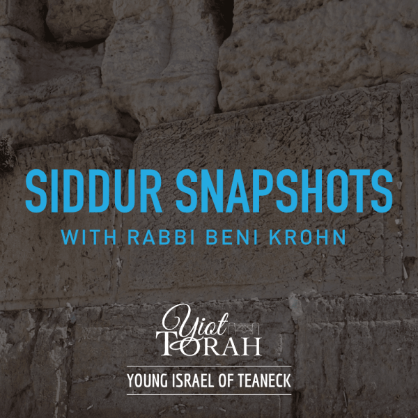 Siddur Snapshots