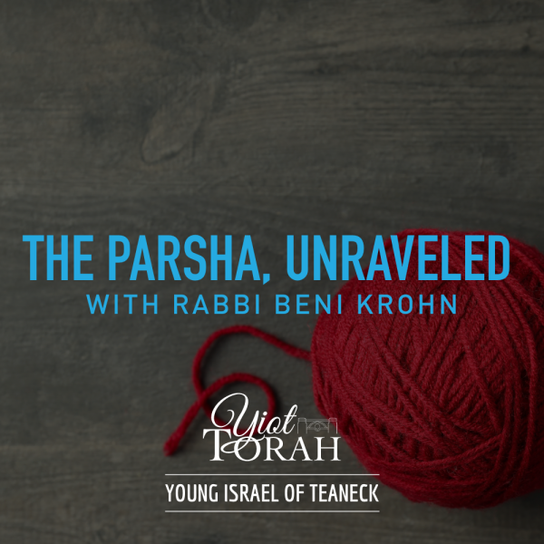 The Parsha, Unraveled