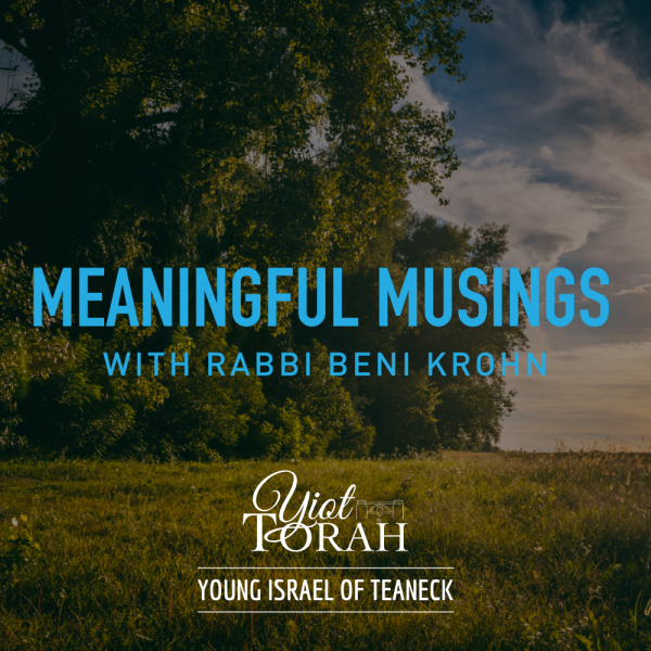 Meaningful Musings