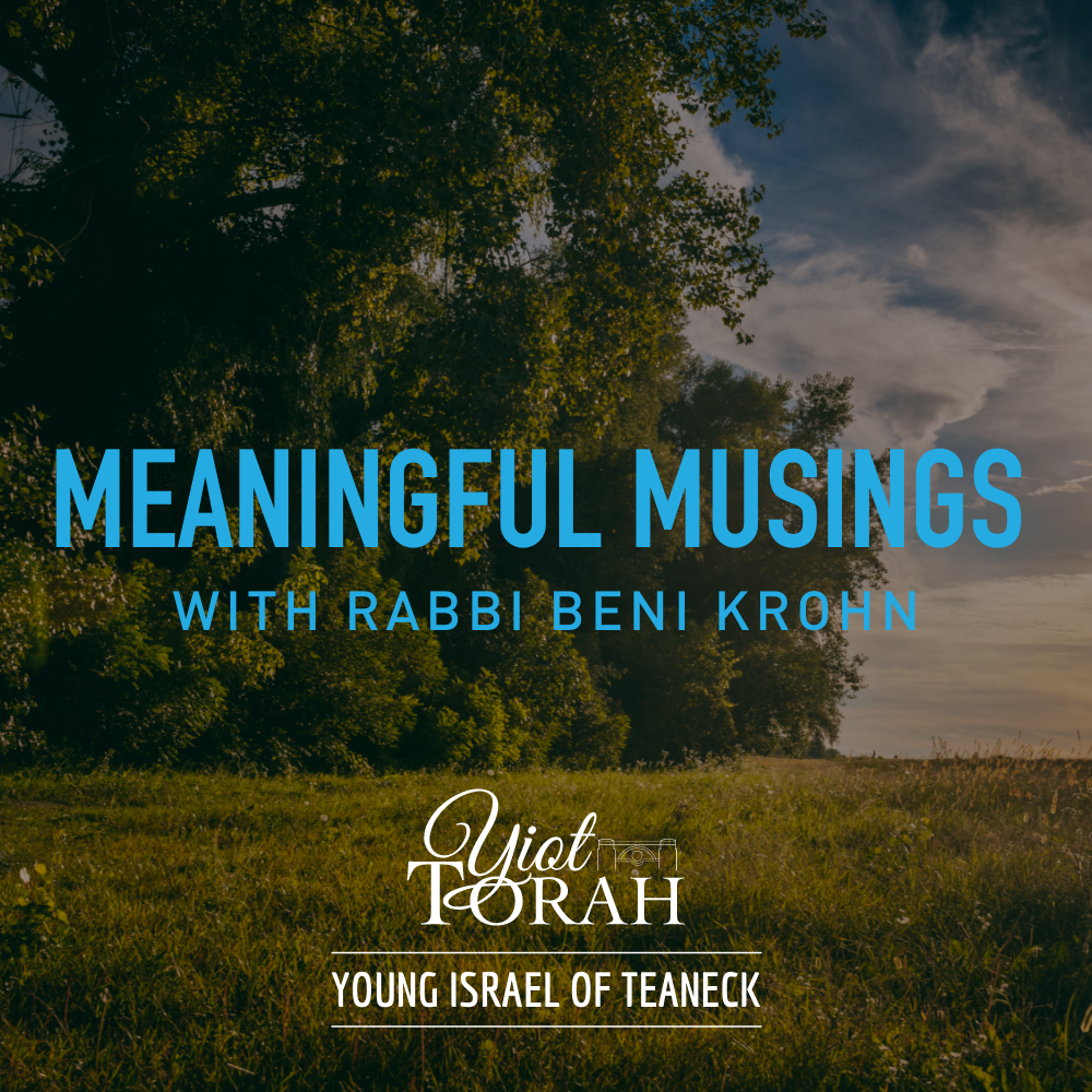 Parsha: Meaningful Musings